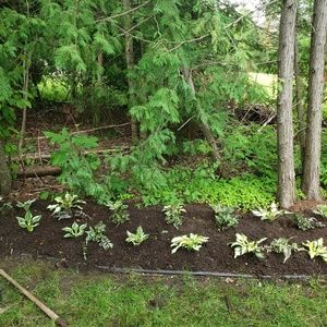 Meet your Posher, Declain